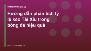 Read more about the article Hướng dẫn phân tích tỷ lệ kèo Tài Xỉu trong bóng đá hiệu quả